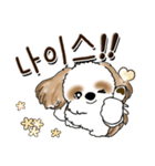 シーズー犬 『韓国語だけ』2（個別スタンプ：23）