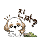 シーズー犬 『韓国語だけ』2（個別スタンプ：33）