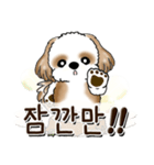 シーズー犬 『韓国語だけ』2（個別スタンプ：34）