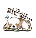 シーズー犬 『韓国語だけ』2（個別スタンプ：36）
