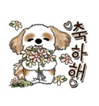 シーズー犬 『韓国語だけ』2（個別スタンプ：37）