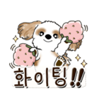 シーズー犬 『韓国語だけ』2（個別スタンプ：38）