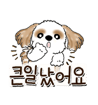 シーズー犬 『韓国語だけ』2（個別スタンプ：39）