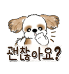 シーズー犬 『韓国語だけ』2（個別スタンプ：40）