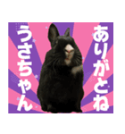 ひーちゃんぬのスタンプ（個別スタンプ：4）