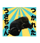 ひーちゃんぬのスタンプ（個別スタンプ：7）