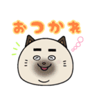 にゃん吉。[日常で使えるデカ文字スタンプ]（個別スタンプ：8）