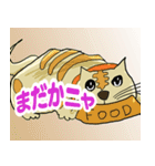 ねこちゃんトーク（個別スタンプ：5）