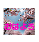 【 桜 卒業 入学 春のスタンプです 】（個別スタンプ：8）