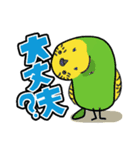 ゆったりとセキセイインコ（個別スタンプ：11）