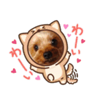ヨーキーのまめたん（個別スタンプ：27）
