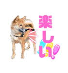 つつじちゃんスタンプ2（個別スタンプ：2）