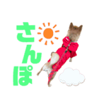 つつじちゃんスタンプ2（個別スタンプ：6）