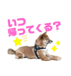 つつじちゃんスタンプ2（個別スタンプ：7）