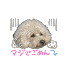 エイトとルーク 犬兎（個別スタンプ：2）