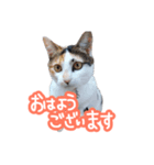 ナナちゃんです︎^_^（個別スタンプ：1）
