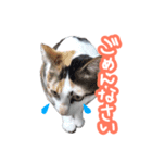 ナナちゃんです︎^_^（個別スタンプ：5）