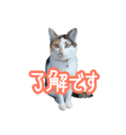ナナちゃんです︎^_^（個別スタンプ：6）