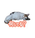 ナナちゃんです︎^_^（個別スタンプ：8）