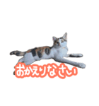 ナナちゃんです︎^_^（個別スタンプ：10）