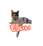 ナナちゃんです︎^_^（個別スタンプ：13）