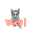 ナナちゃんです︎^_^（個別スタンプ：14）