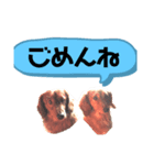 うちの愛犬Ver．？（個別スタンプ：6）