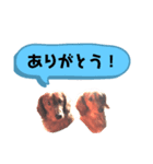 うちの愛犬Ver．？（個別スタンプ：7）