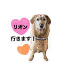 01_リオン（個別スタンプ：1）