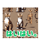 ベンガルねこ忍者スタンプ（個別スタンプ：5）