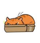 Shubingcat 新登場！（個別スタンプ：19）