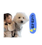 るい＆まるり＆ぷりん（個別スタンプ：1）