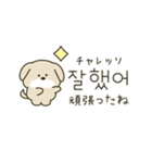 使って覚える韓国語♡犬さん（個別スタンプ：13）