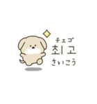 使って覚える韓国語♡犬さん（個別スタンプ：19）