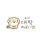 使って覚える韓国語♡犬さん（個別スタンプ：22）