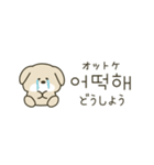 使って覚える韓国語♡犬さん（個別スタンプ：29）