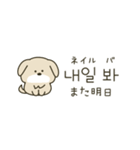 使って覚える韓国語♡犬さん（個別スタンプ：31）