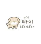 使って覚える韓国語♡犬さん（個別スタンプ：33）