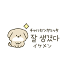 使って覚える韓国語♡犬さん（個別スタンプ：36）