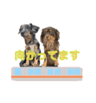 ハピオレ③（個別スタンプ：2）