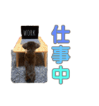 ハピオレ③（個別スタンプ：7）