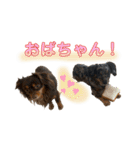 ハピオレ③（個別スタンプ：10）