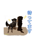 ハピオレ③（個別スタンプ：14）