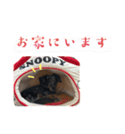 ハピオレ③（個別スタンプ：15）