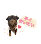 ハピオレ③（個別スタンプ：21）