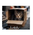 メンヘラ子猫【猫・ねこ・カップル】（個別スタンプ：1）