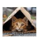 メンヘラ子猫【猫・ねこ・カップル】（個別スタンプ：2）