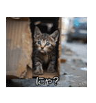 メンヘラ子猫【猫・ねこ・カップル】（個別スタンプ：4）