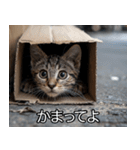 メンヘラ子猫【猫・ねこ・カップル】（個別スタンプ：7）