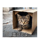 メンヘラ子猫【猫・ねこ・カップル】（個別スタンプ：10）